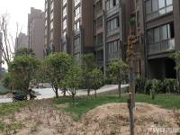 上海都市花园实景图图片