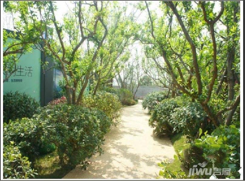 蓝光COCO蜜城实景图图片