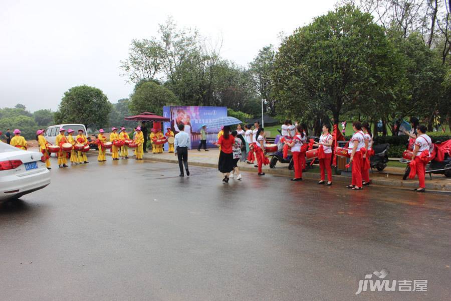 嘉宇银杉实景图图片