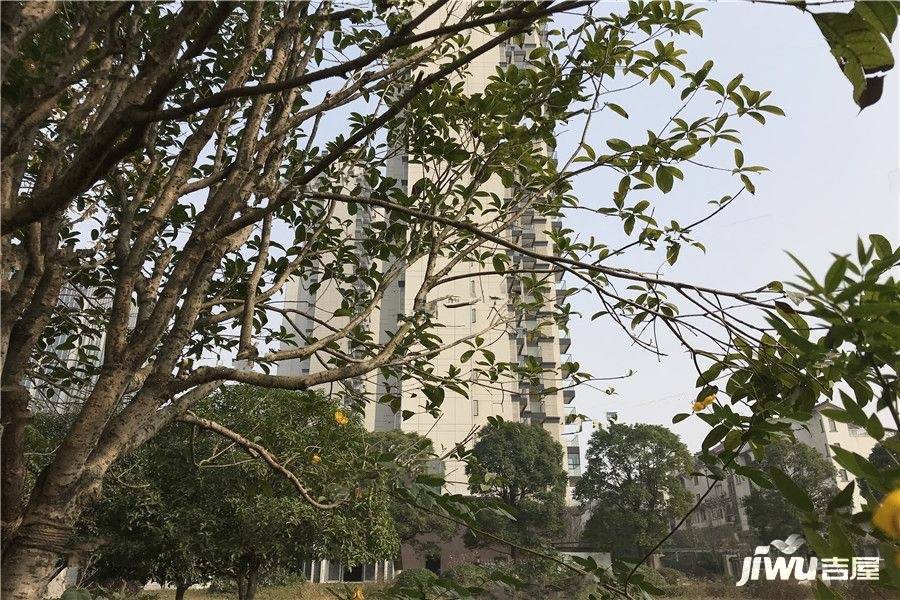 中国铁建洋湖垸实景图图片
