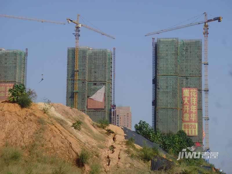 花样年华实景图图片