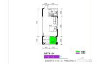 长燃新奥佳园1室1厅1卫42㎡户型图