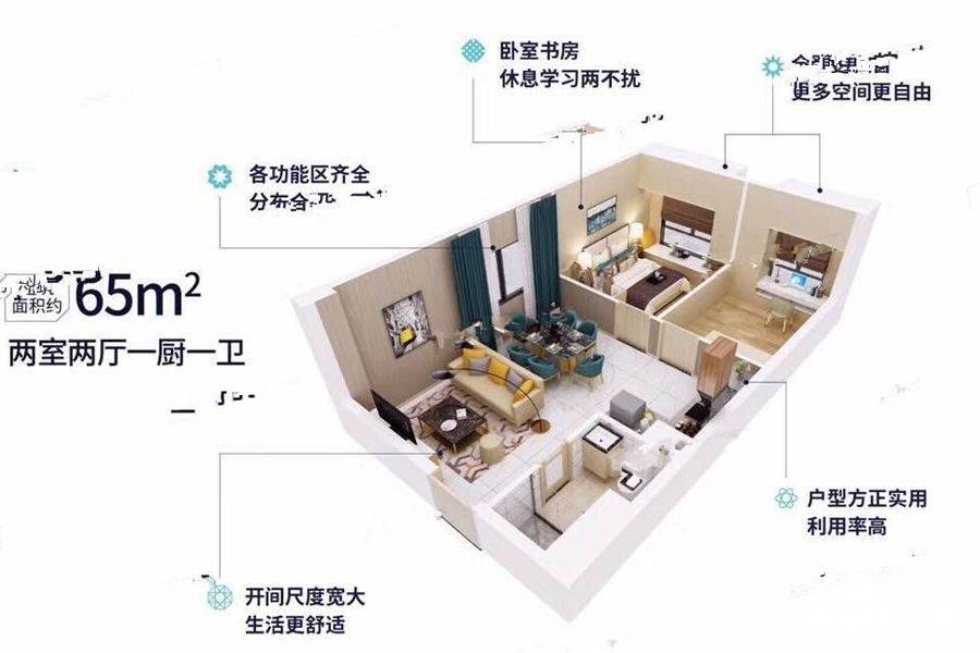 碧桂园星城首府2室2厅1卫65㎡户型图