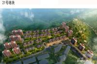 海东城实景图11