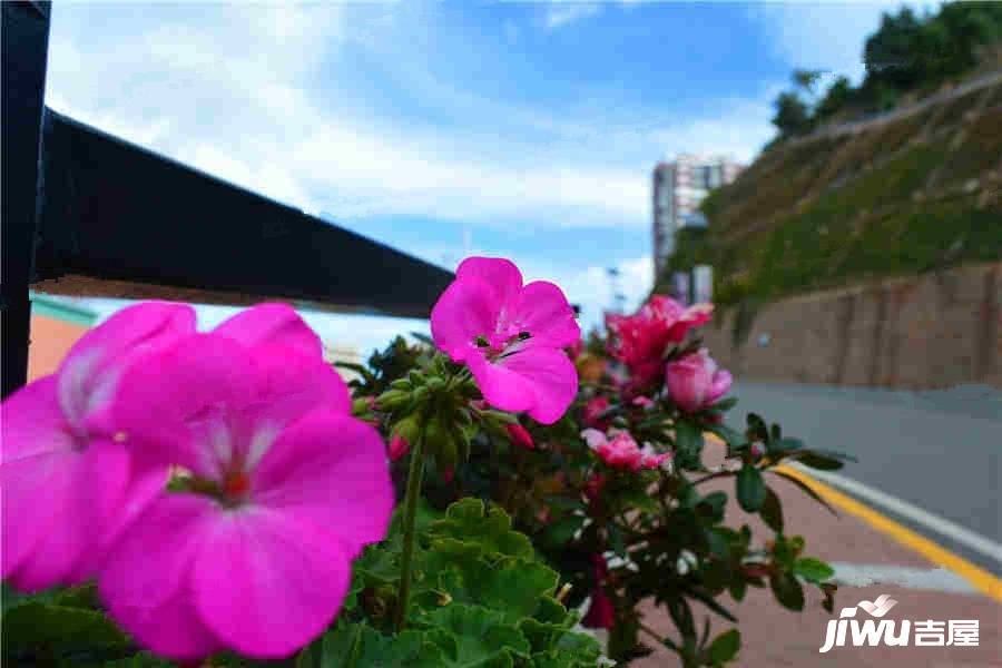 天泰大理十畝实景图图片