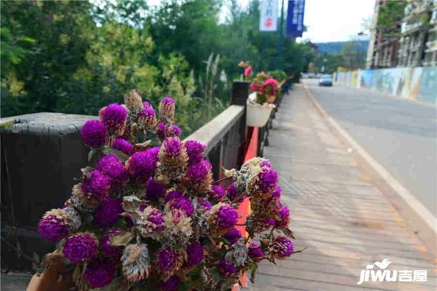 大理十畝实景图图片