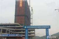 中国（中部）岳塘国际商贸城实景图图片