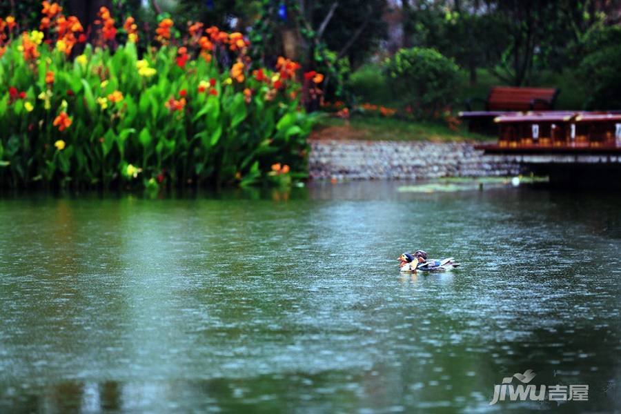 恒大名都实景图图片