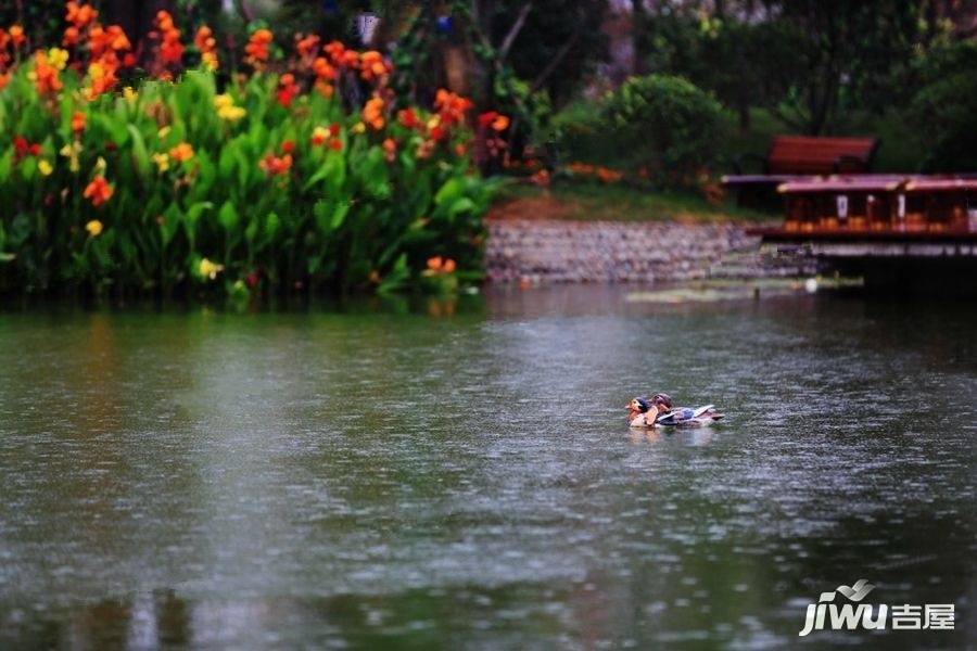 恒大名都实景图图片