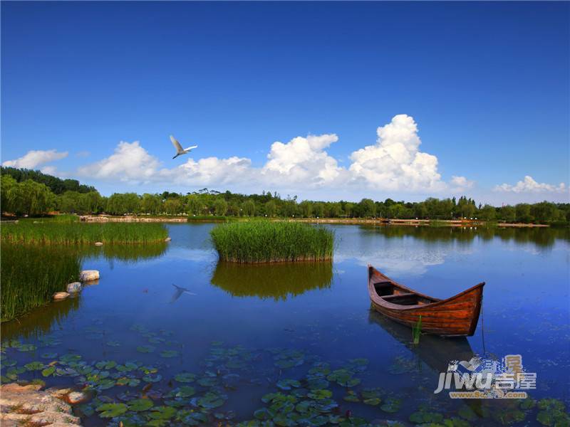 中骏四季花都实景图图片