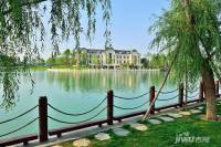 孔雀城大湖天悦实景图图片