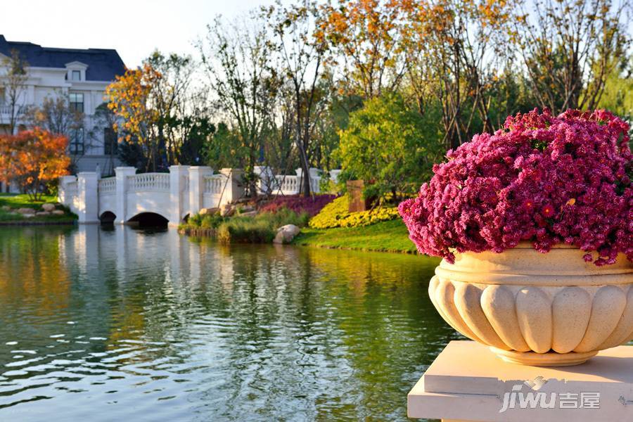 孔雀城大湖天悦实景图图片