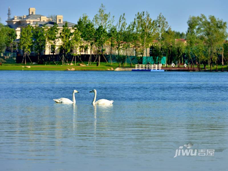 孔雀城大湖天悦实景图图片