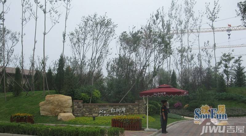 K2·红树湾实景图图片