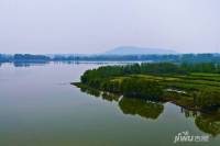 江扬天乐湖实景图图片