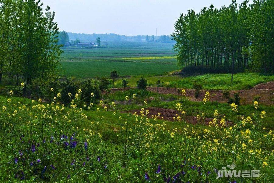 江扬天乐湖实景图图片