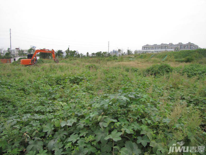 新港名仕花园实景图图片