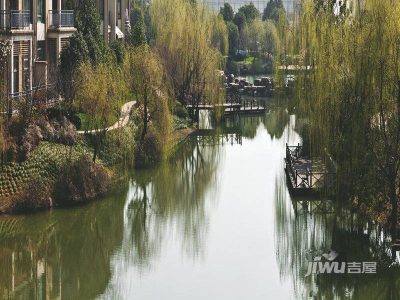 大华西溪风情悦宫实景图图片