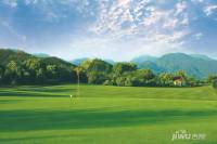 恒大水晶國際廣場外景圖/效果圖