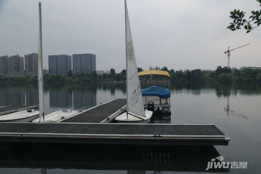 东海闲湖城悦湖别墅实景图图片