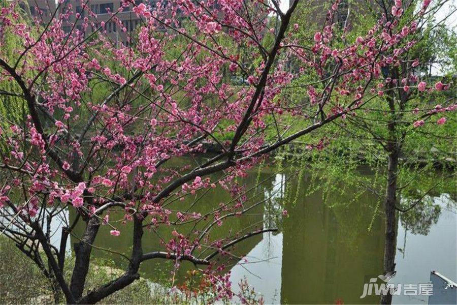 龙湖水晶郦城位置交通图图片