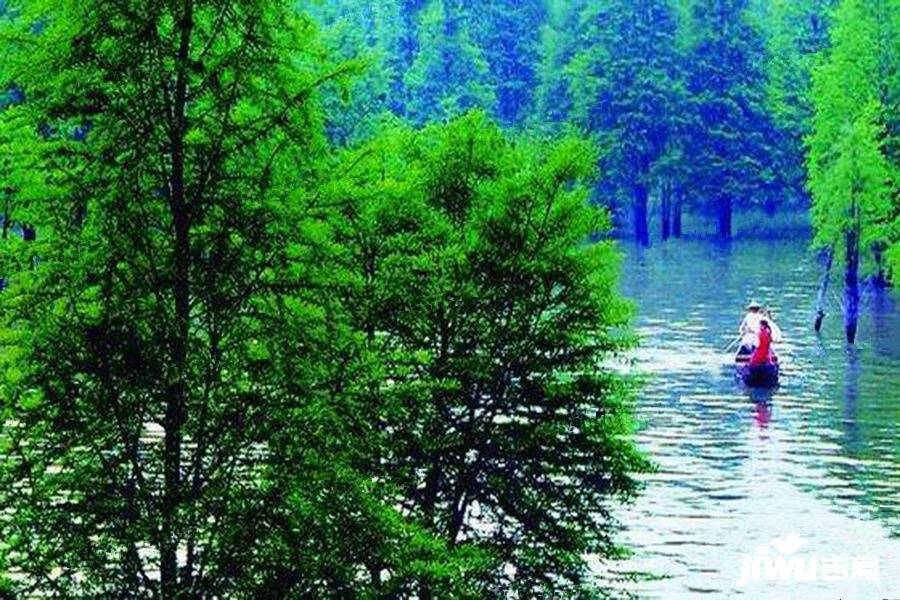 滨湖天地位置交通图图片