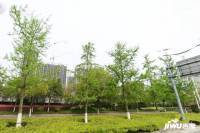 九川星汇城实景图图片