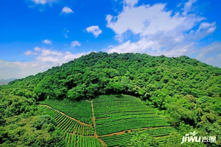 坤和和家园雍园实景图图片