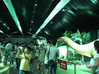 中國鐵建青秀城售樓處圖片