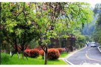 九浪山花園位置交通圖3