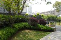 新长江香榭琴台实景图图片