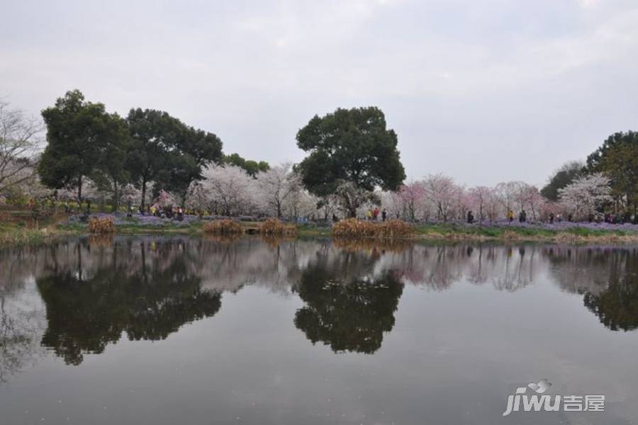 永利国际大厦配套图图片