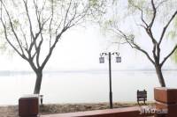 恋湖家园滨湖一期配套图图片