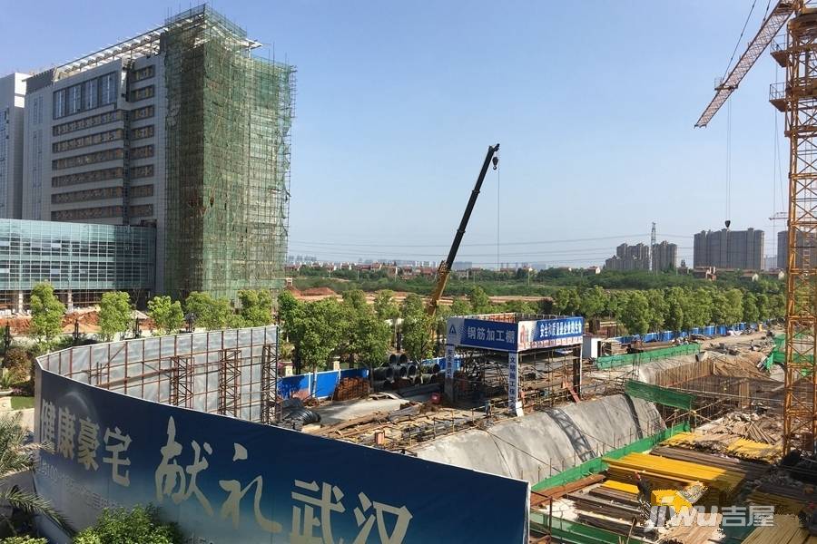 中国健康谷健康新天地实景图图片