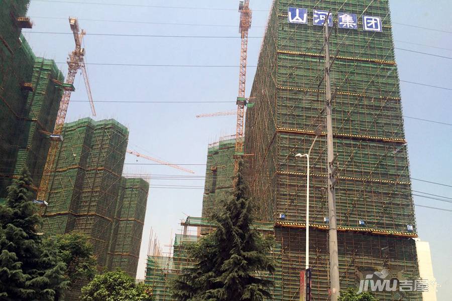 东方雨林实景图图片