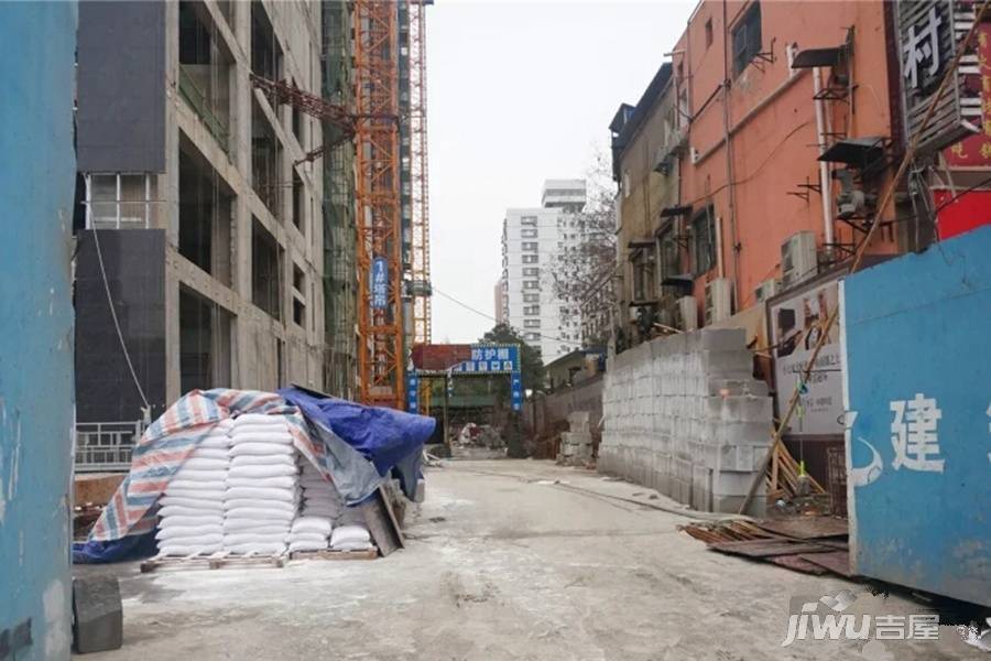 紫菘中南特区实景图图片