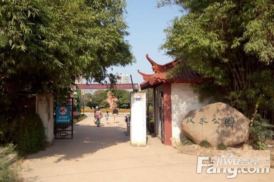 月湖琴声配套图图片