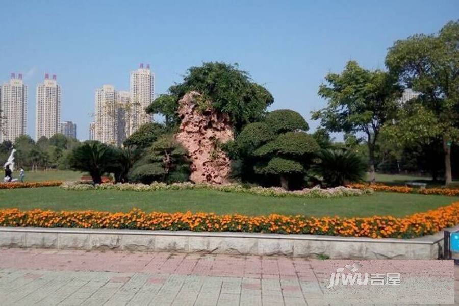 月湖琴声配套图图片