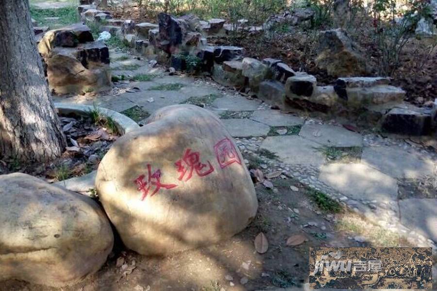 月湖琴声配套图图片