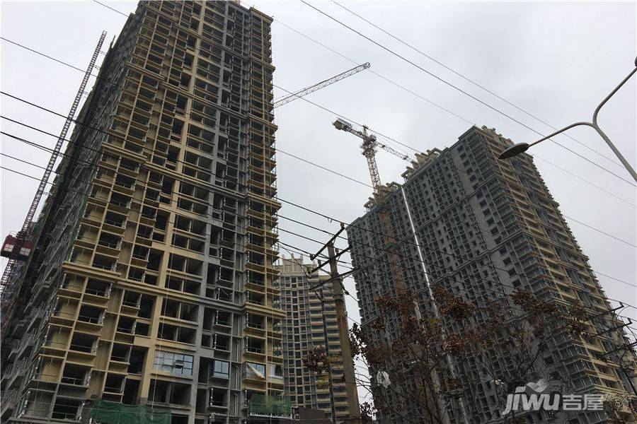 东方雨林实景图图片