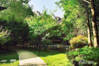 美林青城三期林与堂实景图图片