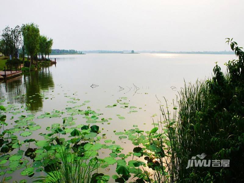 湖墅观止莱特城实景图图片