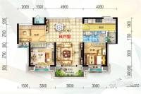 碧桂园学府壹号3室2厅1卫104㎡户型图