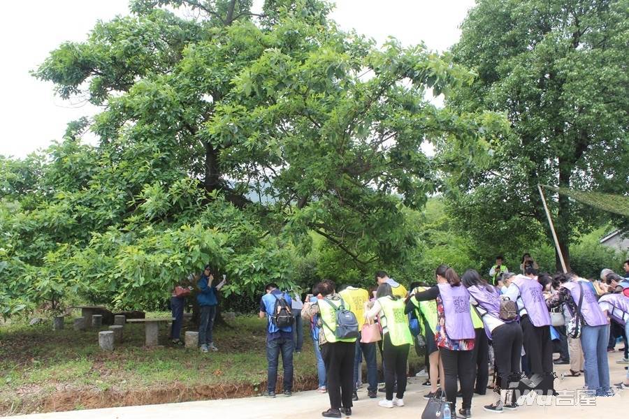 奥园丹芙春城售楼处图片