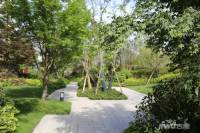 泰禾江阴院子实景图图片