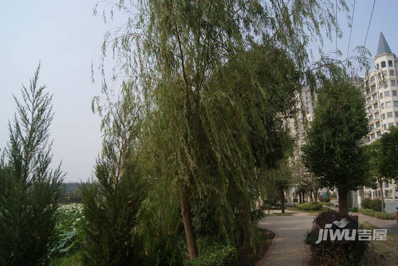 泰州碧桂园实景图图片