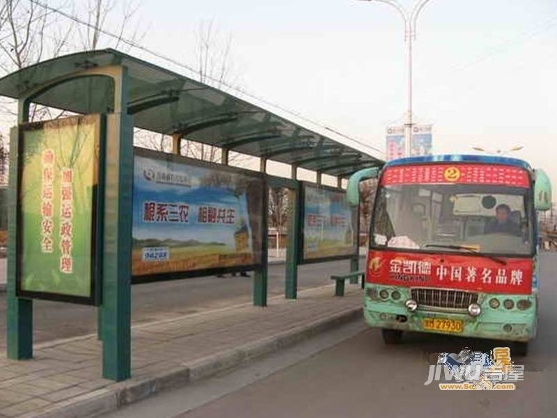 森淼常春藤配套图图片