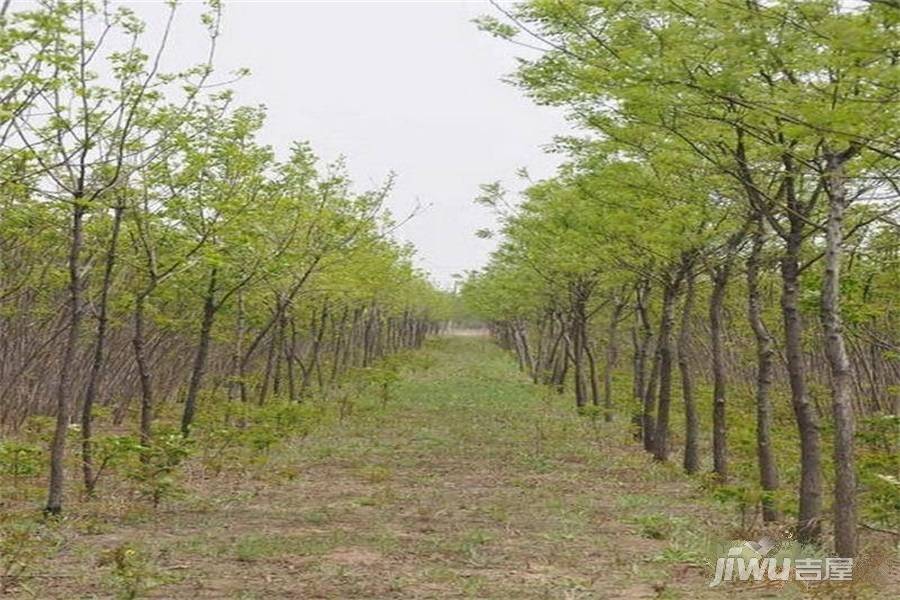 阳光美域配套图图片