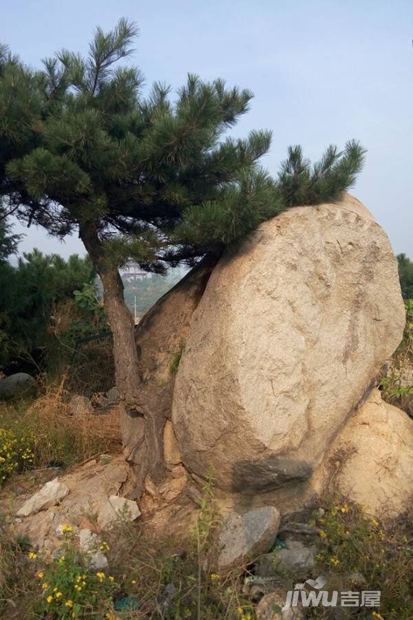 景庐花园配套图图片