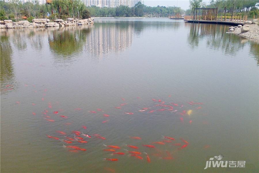 宝德时代蓝湾配套图图片